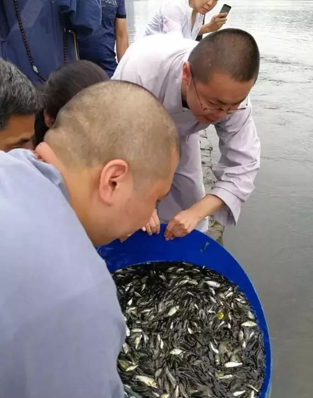 放生治病奇跡最新報(bào)道，見(jiàn)證生命轉(zhuǎn)變的神奇瞬間