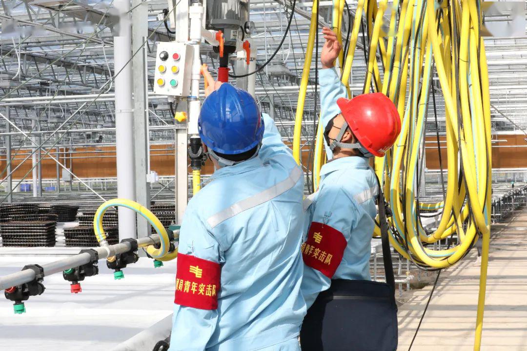 草海機場最新動態(tài)揭秘，建設進展、航班信息及未來展望