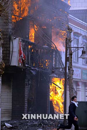 西藏最新事件，雪域高原的溫馨日常觀察