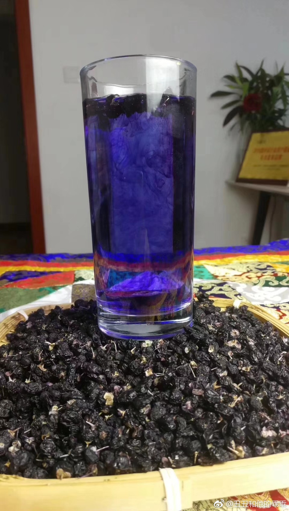 最新黑枸杞辨別技巧與方法??