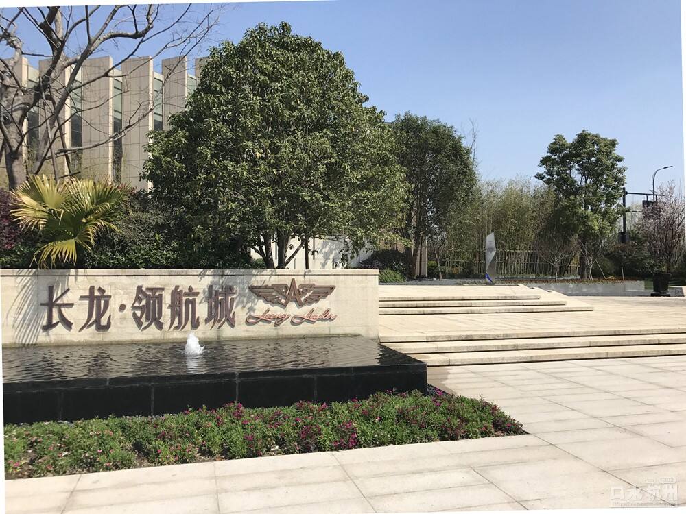 長龍領(lǐng)航最新動態(tài)，駕馭變革，開啟知識海洋的勵志之旅