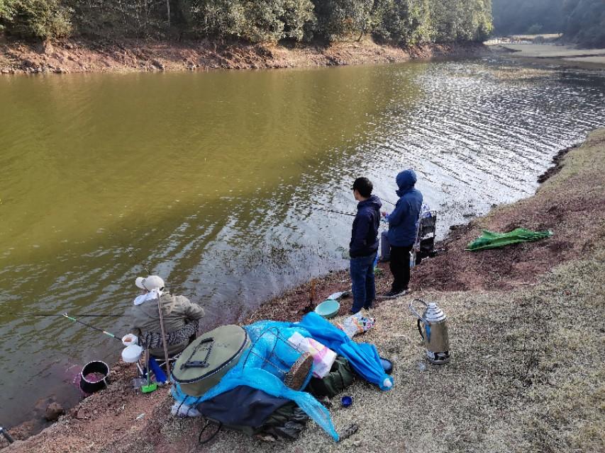 最新水庫(kù)釣魚(yú)視頻，探索釣魚(yú)樂(lè)趣與技巧全攻略