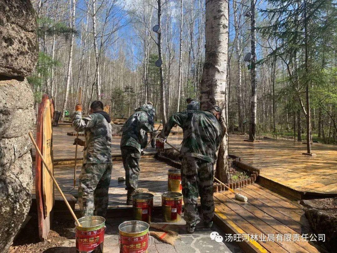 探尋神秘寶石世界的獨(dú)特魅力，最新奇石新聞報(bào)道