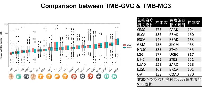 王中王375959cm開獎結(jié)果,數(shù)據(jù)驅(qū)動決策_(dá)SLF27.152融合版