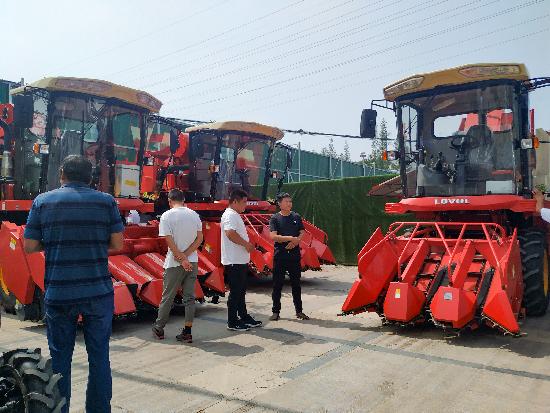 邳州玉米最新價(jià)格，時(shí)代見(jiàn)證下的市場(chǎng)動(dòng)態(tài)