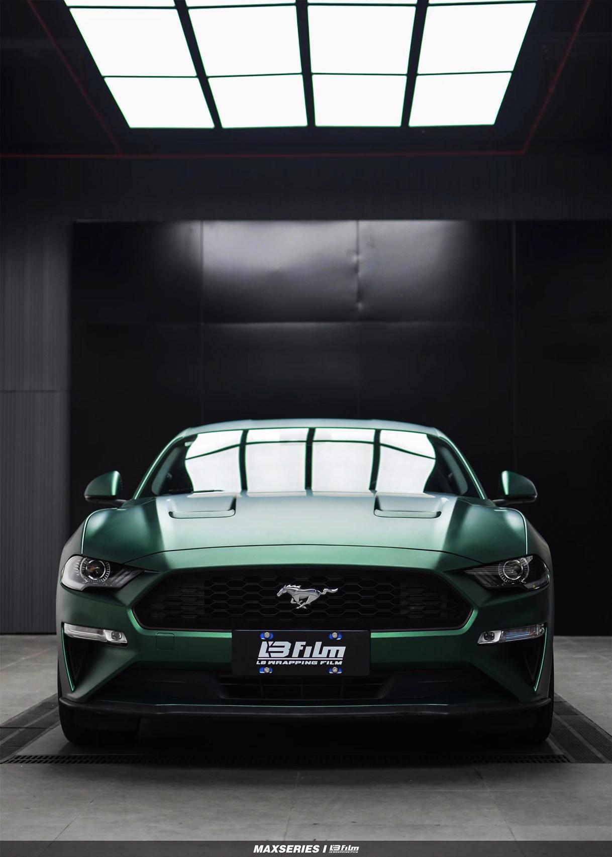 最新野馬汽車，技術(shù)革新與市場競爭的展現(xiàn)