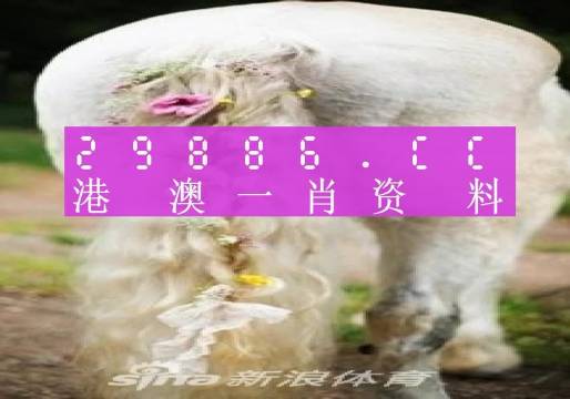 澳門四不像精準(zhǔn)一肖一碼,數(shù)據(jù)分析計劃_UVR10.888智慧版