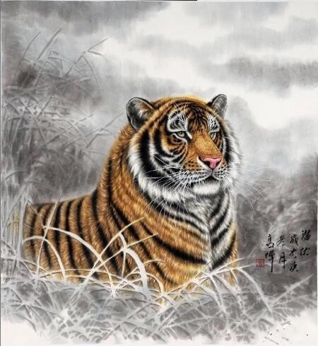 2024澳門白老虎正版資料,數(shù)據(jù)驅動決策_UJB10.354動圖版