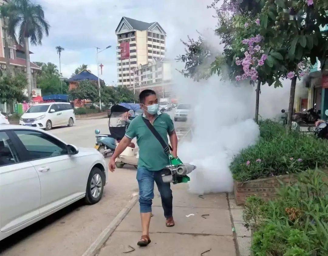 景洪登革熱最新疫情動態(tài)，挑戰(zhàn)與自信之光的博弈