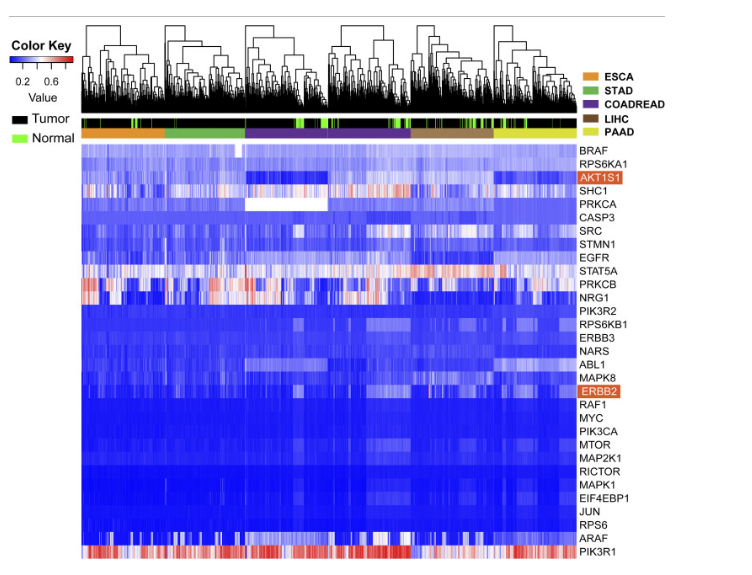 …2024新澳資料免費精準109,澳…,信息明晰解析導向_NSZ10.241生態(tài)版