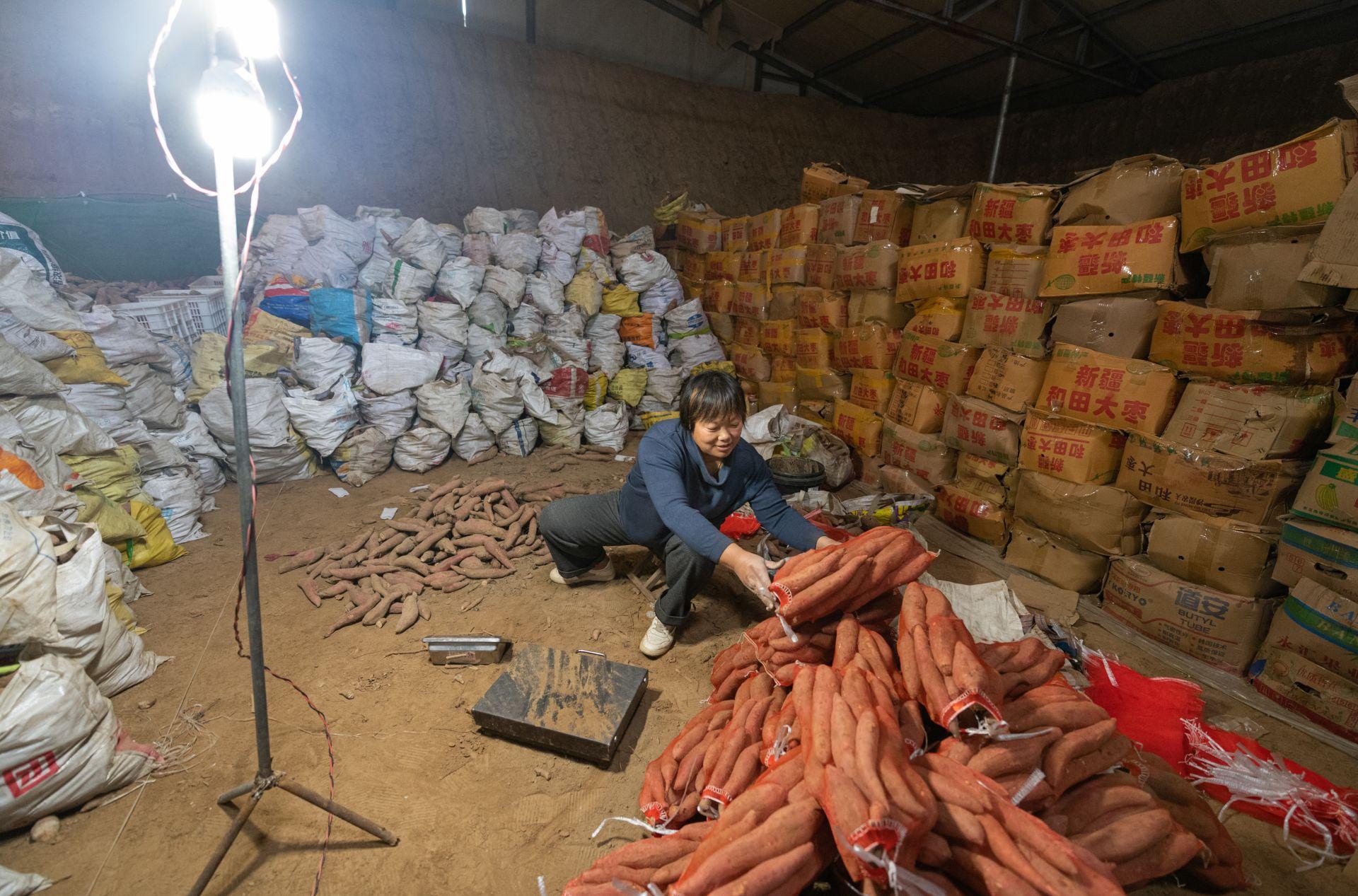 時(shí)代背景下的夏津地瓜最新市場(chǎng)價(jià)格觀察