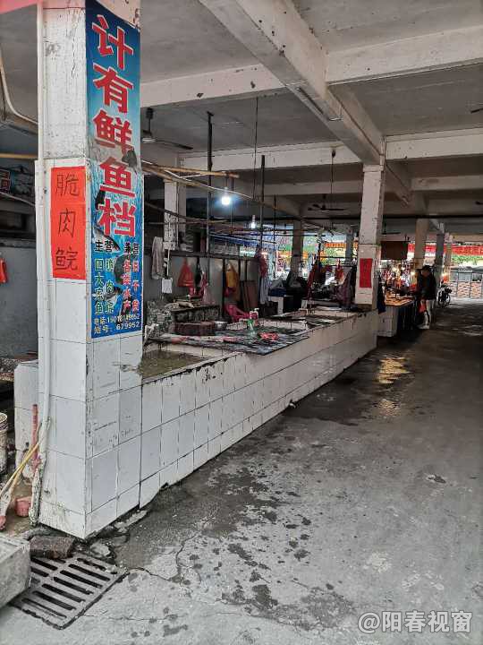 最新魚(yú)檔轉(zhuǎn)讓?zhuān)盐丈虣C(jī)，輕松開(kāi)啟水產(chǎn)養(yǎng)殖事業(yè)之路