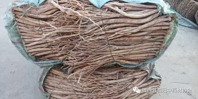 渭源黨參干貨最新價(jià)格及獲取指南，了解黨參干貨價(jià)格走勢(shì)與行情分析