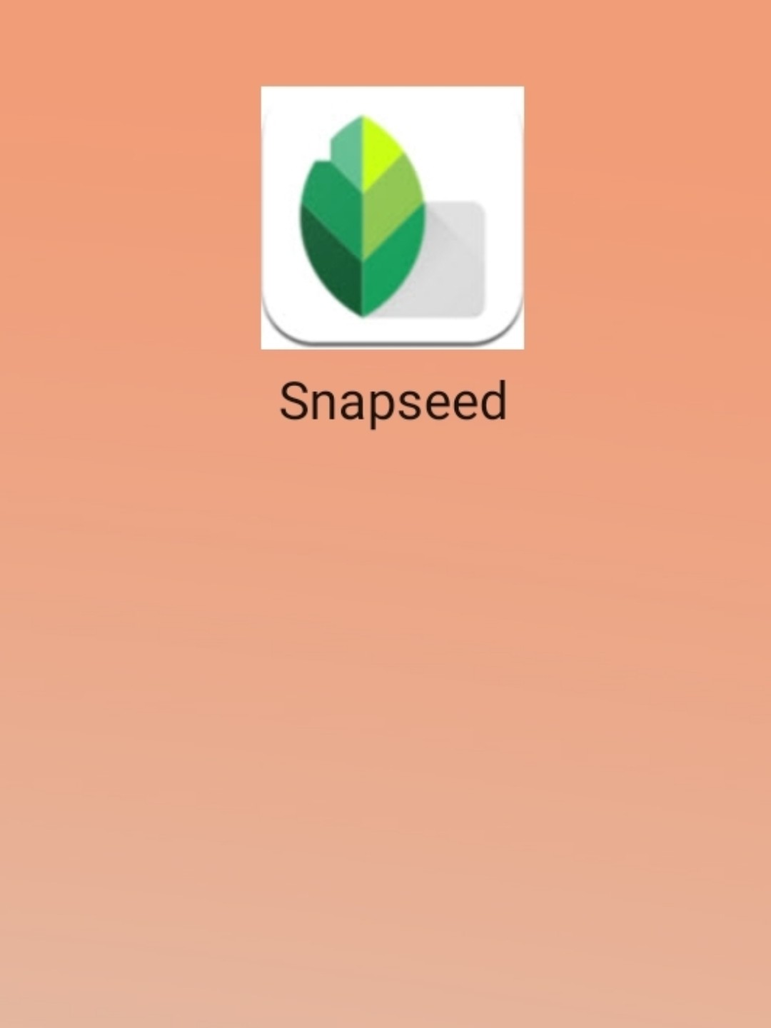 最新snapseed中文版，科技重塑影像，讓生活因攝影更精彩