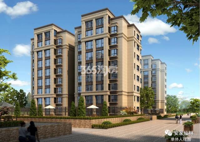 銀城東岳府最新動態(tài)分析揭秘，最新消息與進展