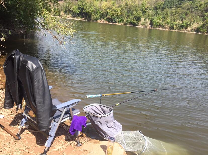 山門寺水庫釣魚最新指南，垂釣攻略與技巧分享