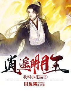 時(shí)代之光下的璀璨篇章，明月珰最新連載熱議熱議熱議！