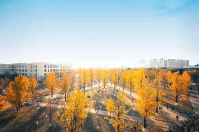 新澳2024今晚開(kāi)獎(jiǎng)資料澳門(mén)正版圖,科學(xué)解釋分析_KCD85.482定義版