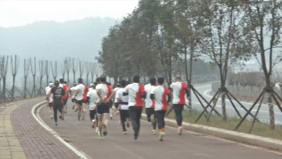 古田環(huán)湖路最新動態(tài)揭秘，時代脈搏與城市發(fā)展的融合之路