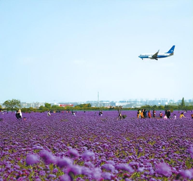 蘭州新區(qū)最新招工信息及小巷風味小店探秘