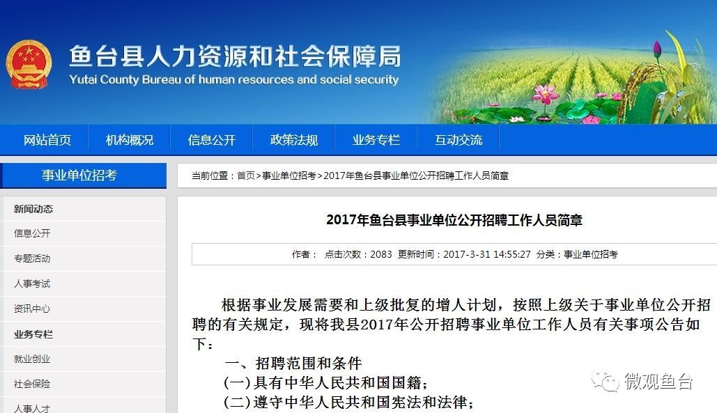 魚臺最新招聘信息大全，求職步驟指南與招聘信息更新速遞