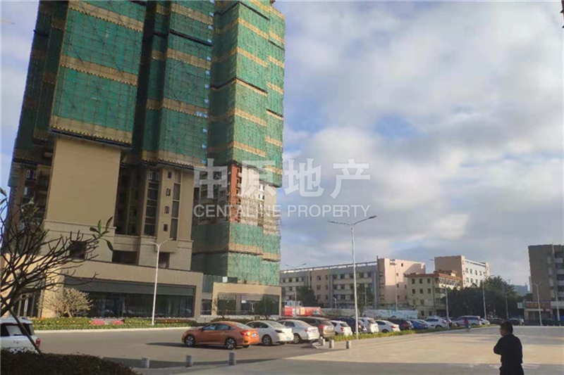 運動場館燈具 第291頁