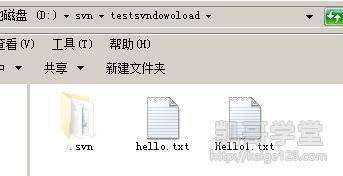Jav最新網(wǎng)址探索，小巷深處的獨特風(fēng)味之旅