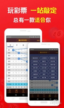 管家婆一碼一肖資料免費公開,安全設(shè)計解析說明法_WJZ9.232精致版