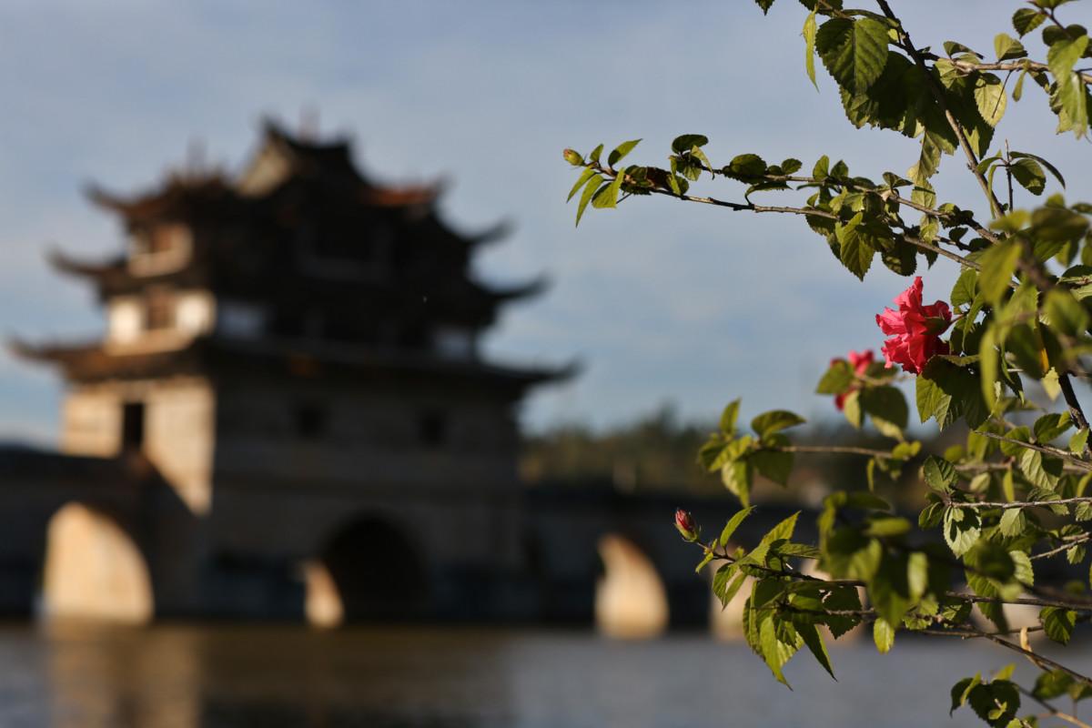 大冰最新力作，智能生活新紀(jì)元——科技與生活的完美融合