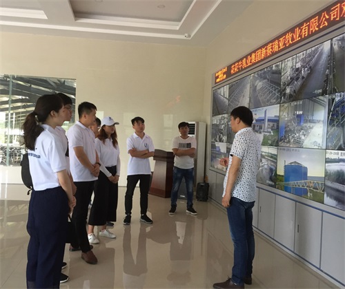 新澳天天管家婆免費資料,實踐調查說明_LJC9.464動態(tài)版