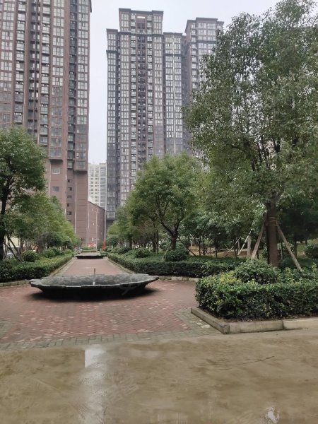 南陽盛世御苑最新動(dòng)態(tài)揭秘，全面指南與步驟詳解