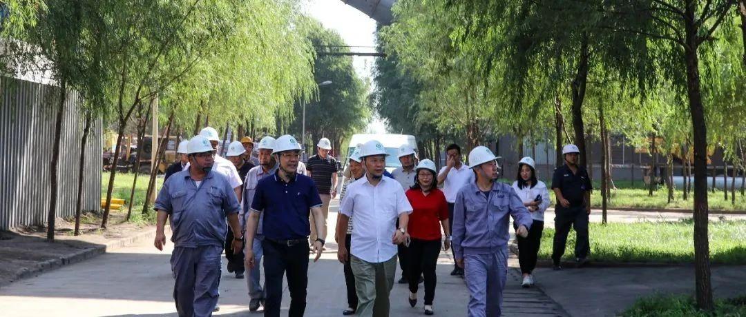 最新鍋爐工招聘信息揭秘，鍋爐工的溫馨日常故事探索