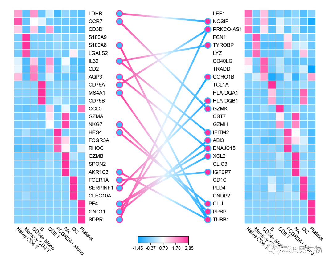 2024新澳門天天彩期期精準,高效性設(shè)計規(guī)劃_云端版11.924