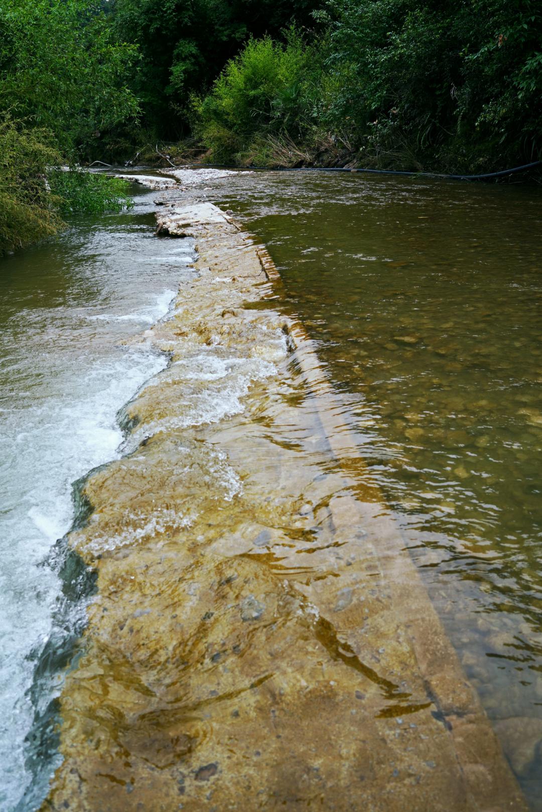 新奧2024年免費資料大全,專業(yè)解讀方案實施_旅行者特別版35.641