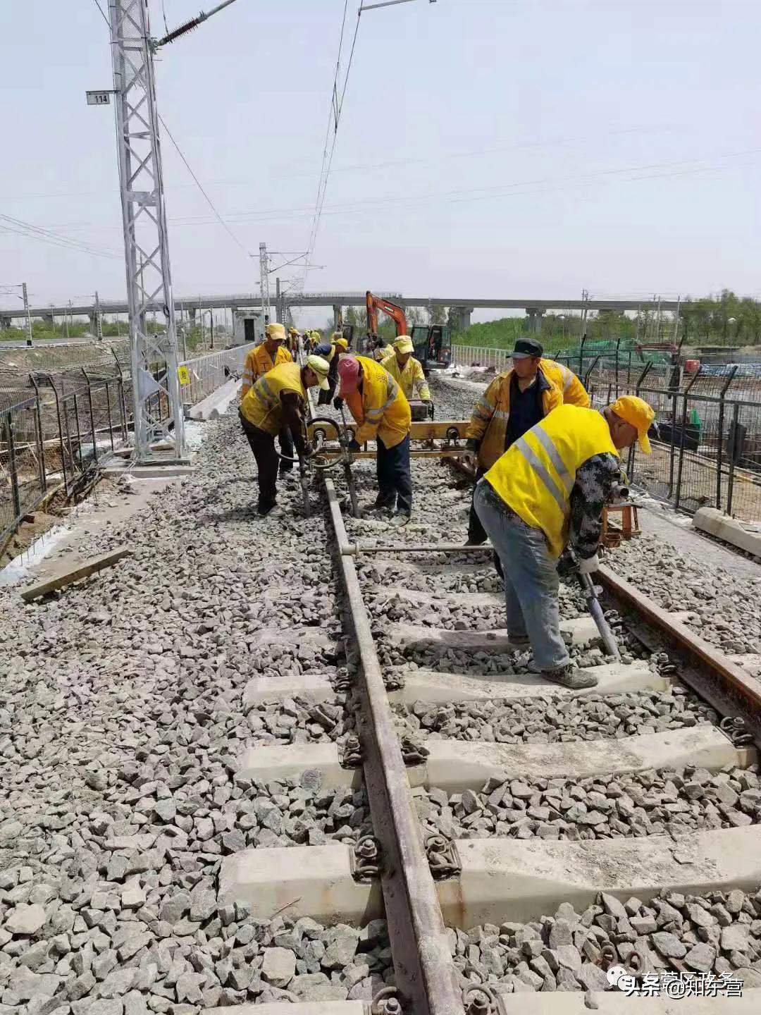 運動場館燈具 第242頁