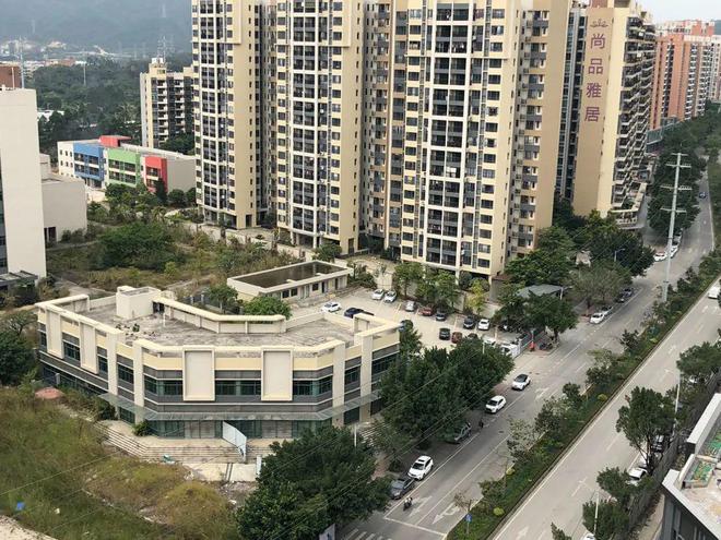 膠南山水雅居最新動(dòng)態(tài)，鄰里日常趣事與情感紐帶分享