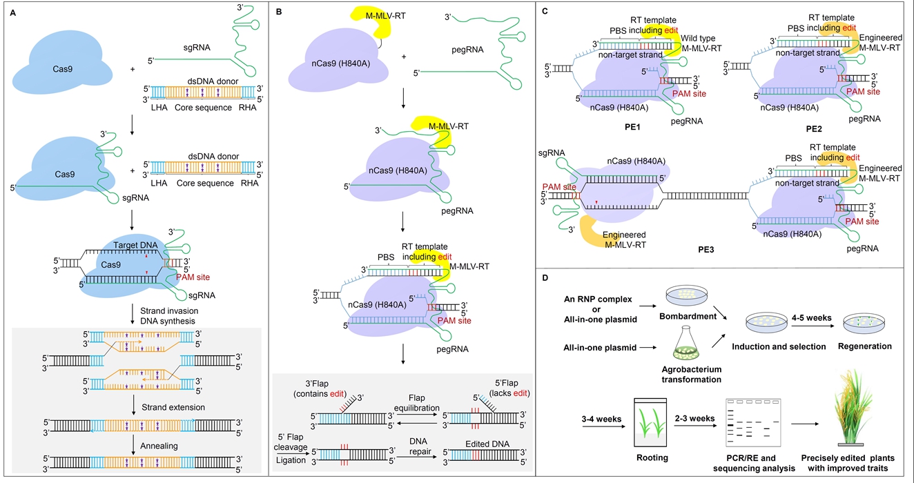 7777788888精準(zhǔn)跑狗圖 拒絕改寫,數(shù)據(jù)引導(dǎo)執(zhí)行策略_個(gè)性版63.850