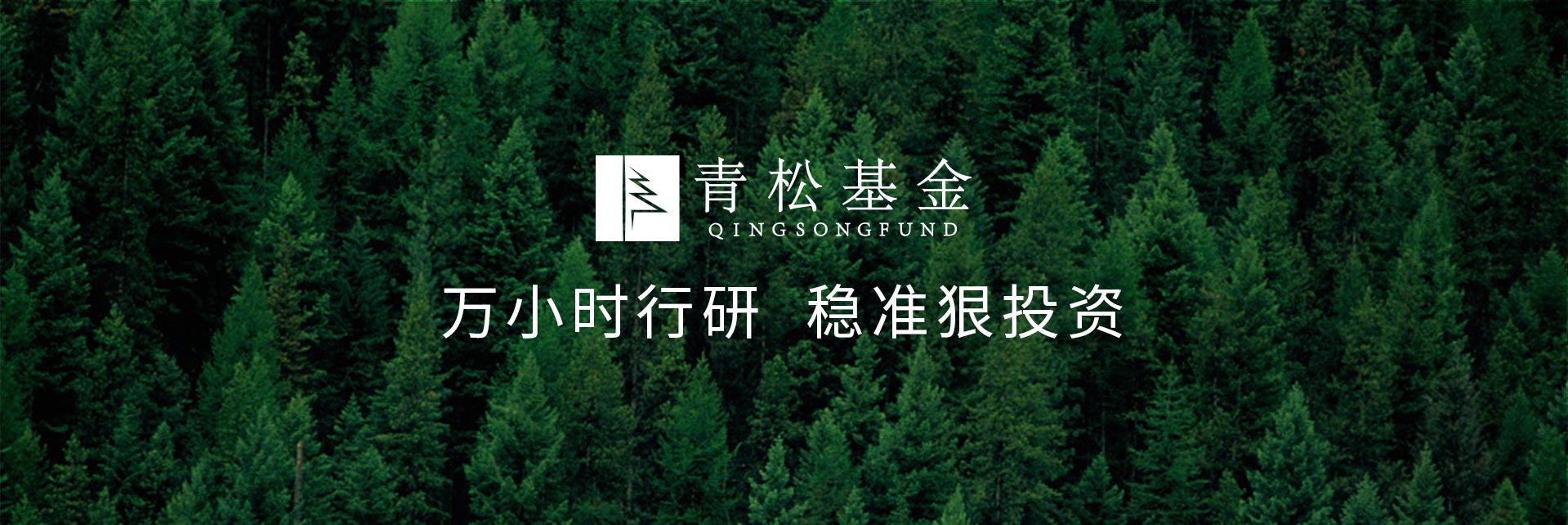 長(zhǎng)青樹(shù)眾籌最新動(dòng)態(tài)，背景、發(fā)展與時(shí)代地位探索