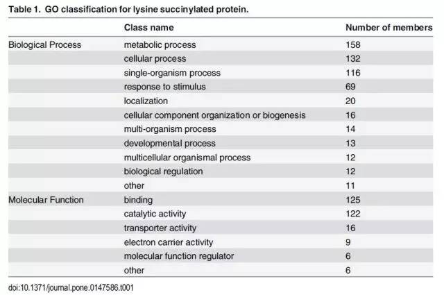奧門開獎結(jié)果+開獎記錄2024年資料網(wǎng)站,精細(xì)化方案決策_云技術(shù)版74.496