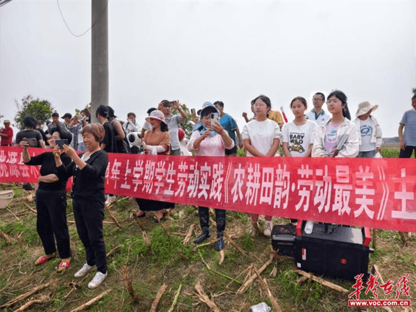 桃源木塘垸鄉(xiāng)新動態(tài)，趣事連連，真摯友情綻放鄉(xiāng)間