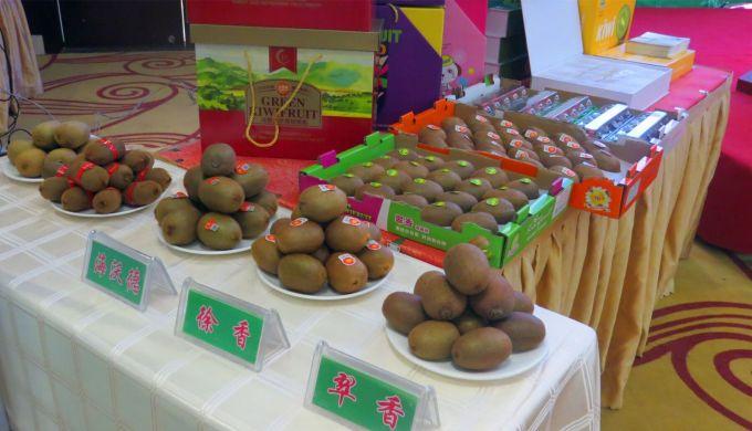 嘉興對(duì)接上海最新進(jìn)展，城市崛起中的自信與成就感展現(xiàn)新面貌