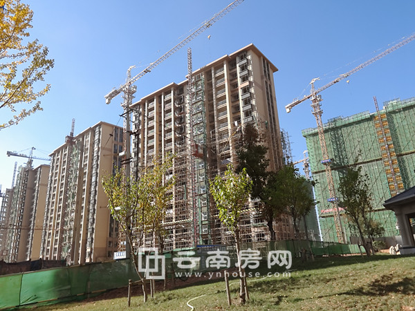 眾和康園二期最新動態(tài)揭秘，未來生活新篇章開啟