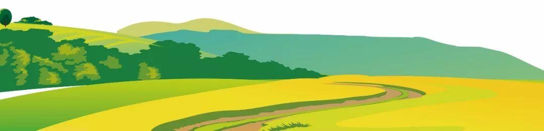 藍(lán)田縣未來藍(lán)圖，最新發(fā)展規(guī)劃揭秘