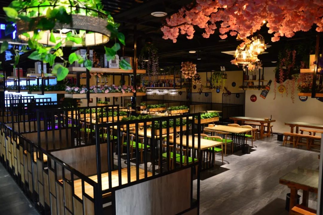 中餐廳最新一期音樂，熱門旋律與節(jié)目魅力的完美交融