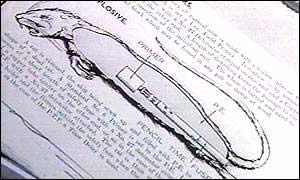 美國填尸最新進(jìn)展，高科技重塑生活，未來科技魅力體驗(yàn)