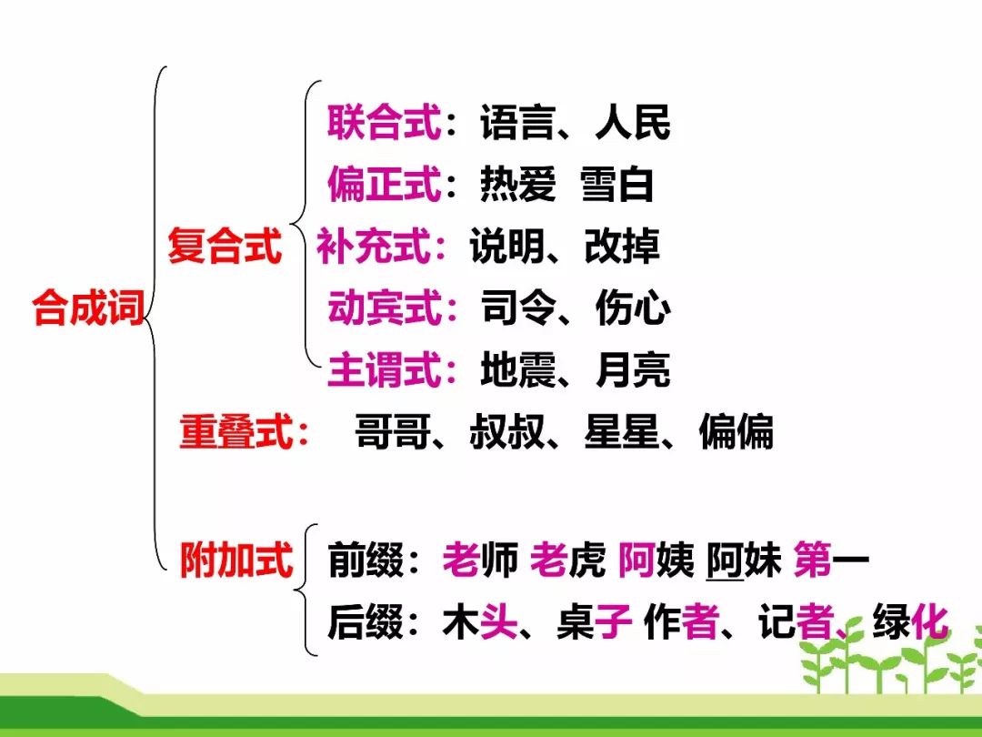 最新合成詞，語言發(fā)展的微觀視角探索