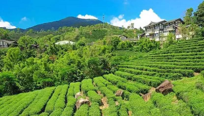 深圳驚喜活動溫情之旅，日常中的特別瞬間