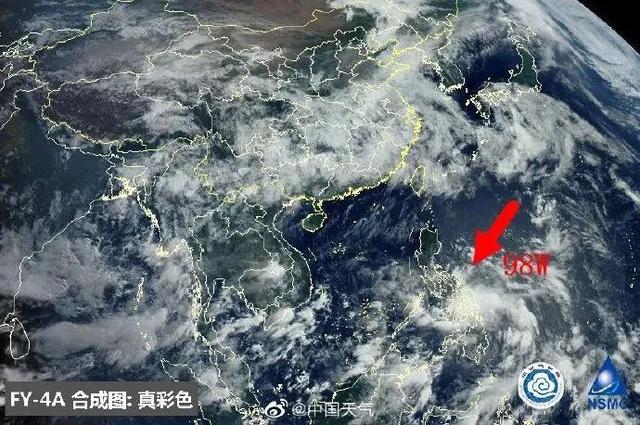 臺(tái)風(fēng)鸚鵡的最新動(dòng)態(tài)，逆風(fēng)翱翔的力量與學(xué)習(xí)魅力