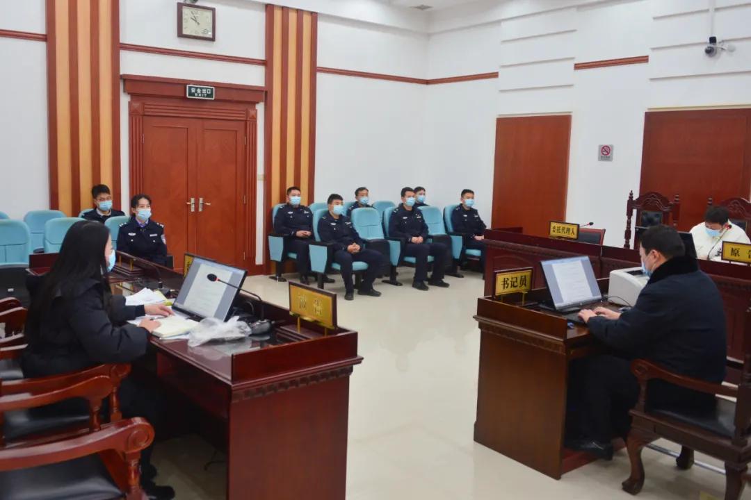 憲法案件最新動態(tài)，小巷深處的情懷與特色小店的奇遇