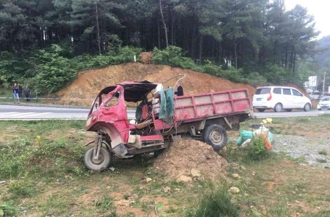 平山事故背后的溫馨故事，友情、愛與陪伴的奇遇